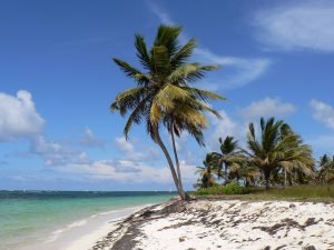 Atrakcje turystyczne Dominikany – co wybrać?
